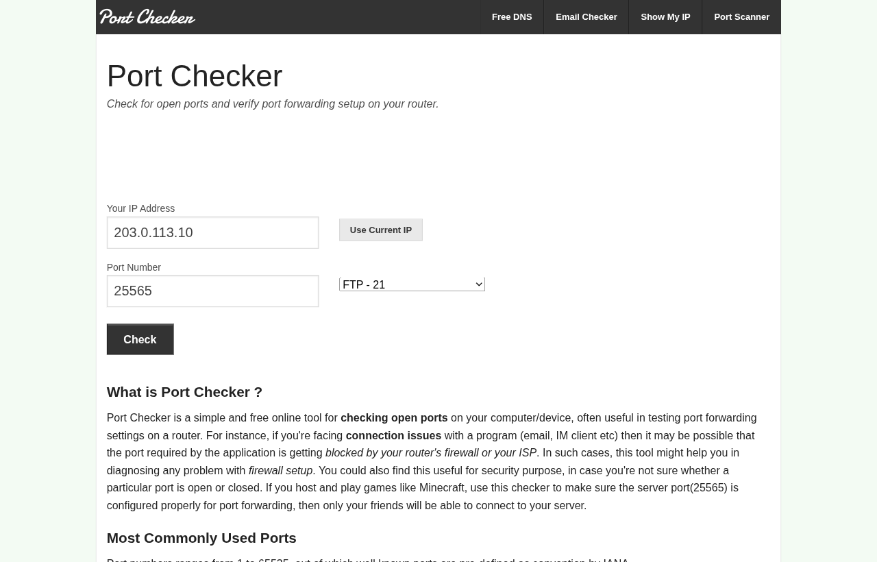 Portchecker.co with the IP field set to a documentation-range address and the port field set to 25565.